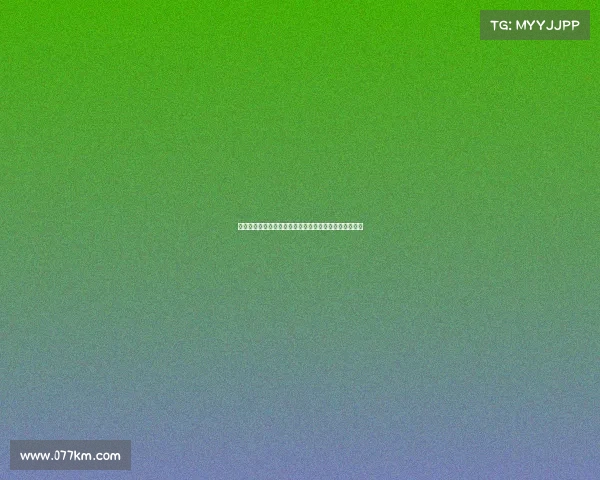 德甲升班马崛起之路:新贵如何在顶级联赛中生存与突围 德甲升班马崛起之路:新贵如何在顶级联赛中生存与突围